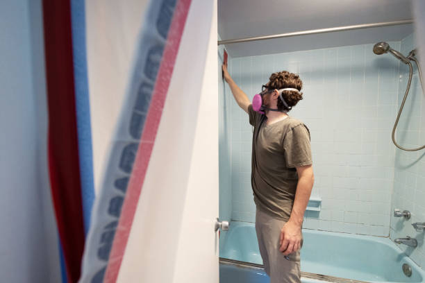 Best Basement Mold Removal  in Somerset, PA
