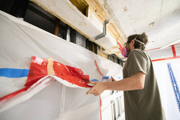 Best Post-Construction Mold Inspection  in Somerset, PA