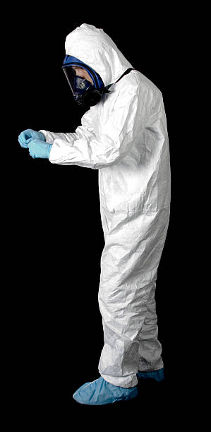 Best Mold Documentation for Insurance Claims  in Somerset, PA