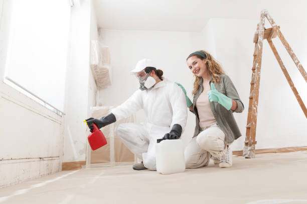 Professional Mold Removal in Somerset, PA