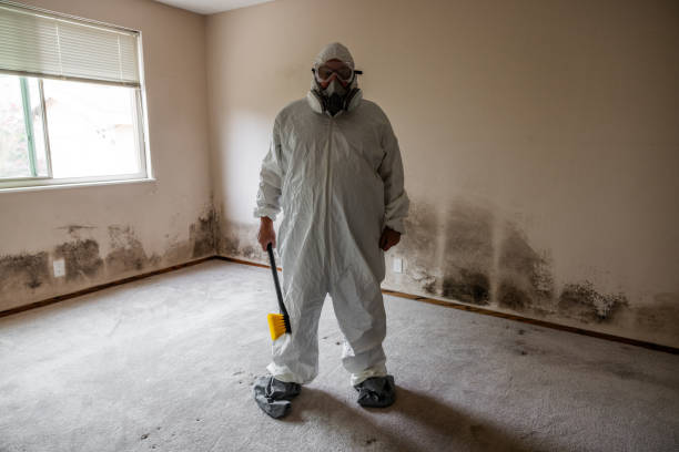 Asbestos and Lead Testing During Mold Inspection in Somerset, PA