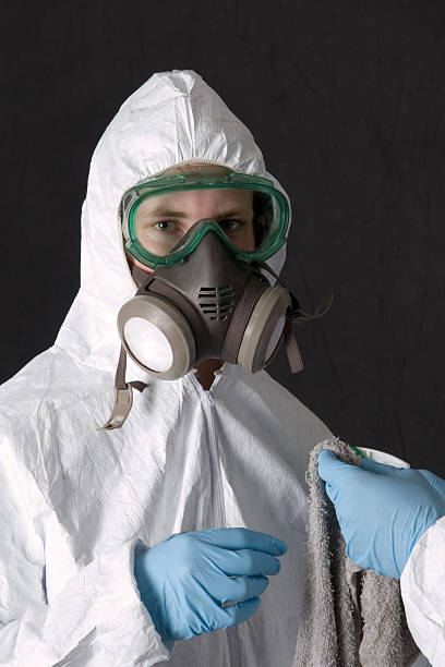 Best Mold-Related Health Consultation  in Somerset, PA